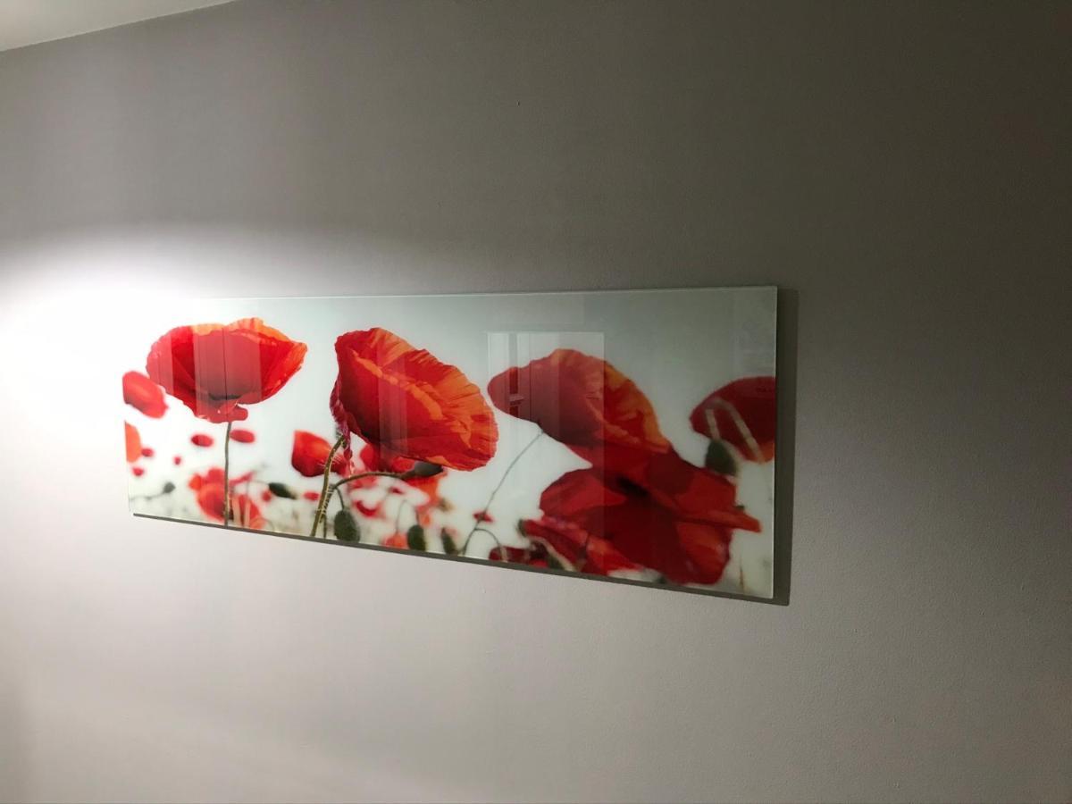 Flanders Fields Διαμέρισμα Dingwall Εξωτερικό φωτογραφία